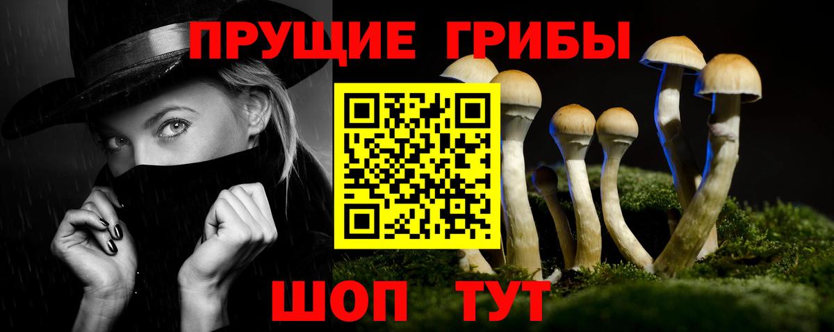 Псилоцибиновые грибы мухоморы  Псилоцибиновые грибы Cubensis  Тюмень  Вход с VPN 